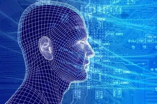 五年奮斗，從高職到復旦——一名互聯網技術開發者的逆襲之路